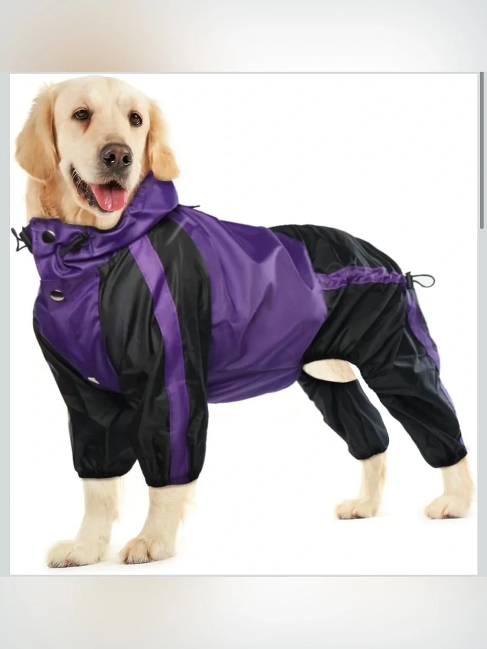 N/A dog raincoat